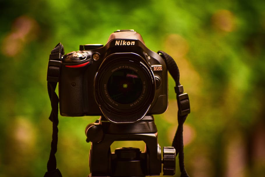 best frame dslr camera 2021